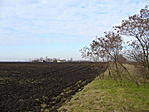 Puszta