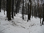 ónos eső nyomai