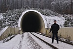 A bátor