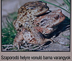 A lényeg az információs tábláról :)