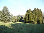 A park