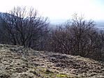 Panoráma