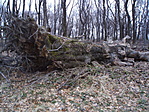 Pici fácska