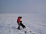 Játék