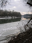 Élő Tisza 1.