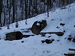 Werbőczy-forrás