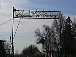 TSZ