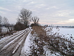 Puszta