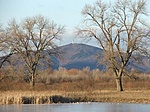 GCTOKA