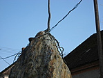 Gyökerek