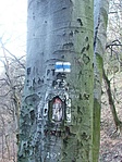 A kép