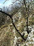 A rejteknél