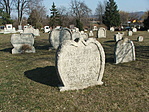 Fotó 1.