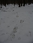 a láda felé
