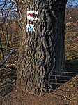 bedrótozva