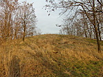 Kunhalom