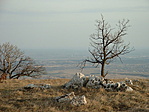 a kilátás