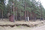 Fenyőerdő budikkal