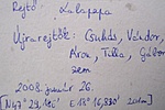 Logbook részlet