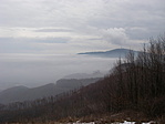 Kékes