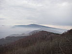 Kékes