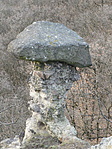 Gomba-szikla