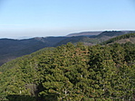 Panoráma
