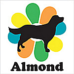 Almond