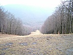 Sípálya