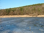 Tó