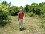 Zsuzsi