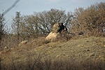 A szomszéd szikla