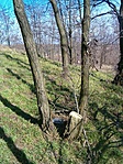 A rejtekhely most
