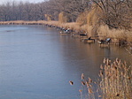 horgászmólók