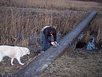Megvan a láda