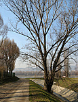 Patakpart