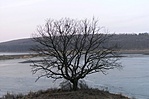 Magányosan