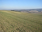 Bakonyi lankák