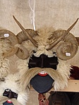 Bajusz