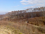 kilátás a cache-től