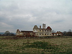 Omladozó falak