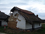 Omladozó