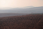 Panoráma