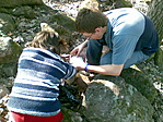 kinder kesserek