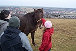 Gyere, megsimogatlak!