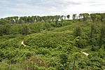 Kilátás 2