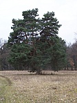Ha ezt látod, akkor inkább keresd a parkolót !