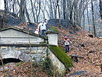 A táró