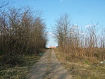 Út