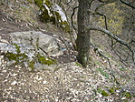 a láda